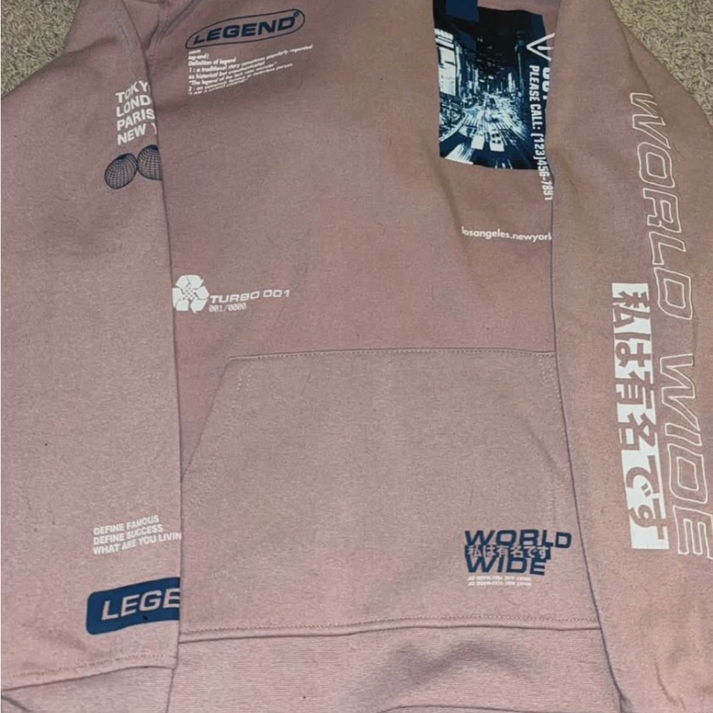 Brooklyn Cloth Dusty Pink Graphic Hoodie